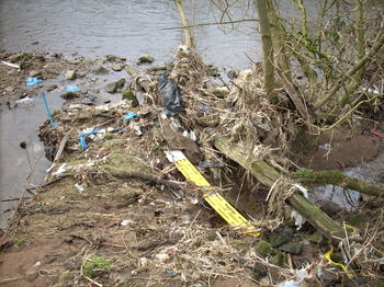 Waterborne_debris_at_hoghton_bott_2