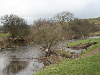 Waterborne_litter_in_trees_at_hog_4